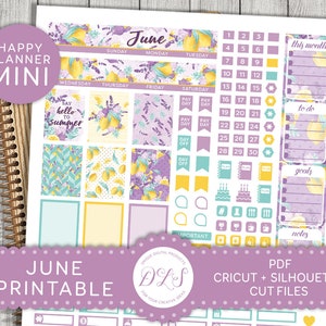 June Mini Happy Planner Stickers, June Monthly Kit, Mini Happy Planner Printable Stickers, June Monthly View, Cut Files, Mini HP, MM136