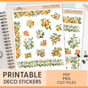 Citrus Journaling Stickers, Floral Deco Stickers, Printable Planner Stickers, Bullet Journal, Orange, Watercolor, Tropical, Summer, JS149