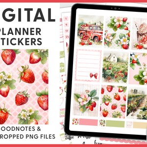 Strawberry Digital Planner Stickers, Goodnotes Stickers, Summer Planner Stickers, Fruit Stickers, Pre-cropped Stickers, Ipad Stickers, DG133