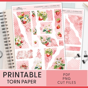 Adesivi stampabili in carta strappata, adesivi alla fragola, adesivi per diario spazzatura, adesivi decorativi primaverili, adesivi per planner, diario proiettile, JS135