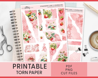 Printable Torn Paper Stickers, Strawberry Stickers, Junk Journal Stickers, Spring Deco Stickers, Planner Stickers, Bullet Journal, JS135