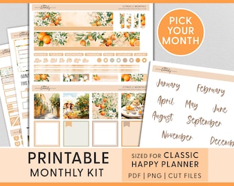 July Monthly Sticker Kit, August Monthly Kit, June Planner Stickers, Happy Planner Printable Stickers, Orange, Citrus, Summer, HPMV248