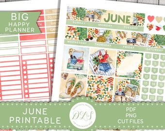 JUNE Monthly Stickers Kit, Big Happy Planner Printable Stickers, June Planner Stickers, Tropical Planner Stickers, Cut Files, BM192