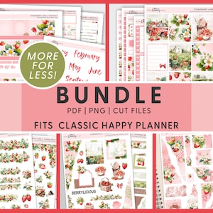 Bundle d'autocollants pour agenda imprimable fraises pour joyeux agenda, kits mensuels, hebdomadaires et de journalisation, été, baies, Bullet Journal BH117
