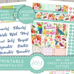 Kit di visualizzazione mensile Happy Planner, Kit stampabile mensile, Adesivi mensili Happy Planner, Diffusione mensile, Kit mensile Mambi, File tagliati, HPE105
