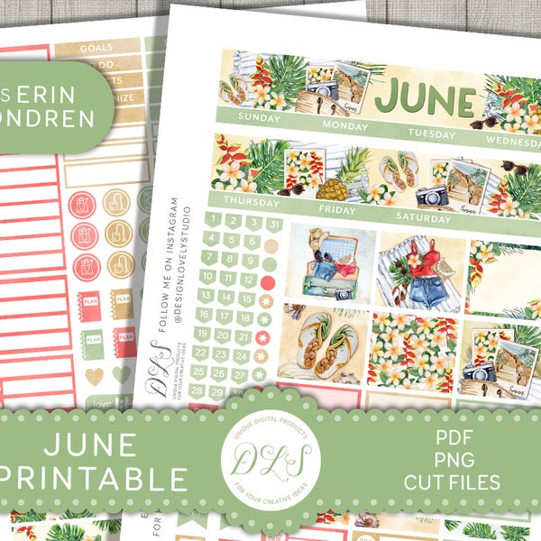 June Monthly Planner Stickers, Printable Planner Stickers, Erin Condren June Stickers, June Monthly Kit, ECLP Stickers, Cut Files, MV187