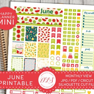 Happy Planner Mini, Planificador Mensual de Junio, Kit de Planificador Tropical, Pegatinas de Planificador de Frutas, Pegatinas de Planificador de Verano, Kit Imprimible, MM110