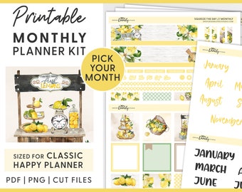 Happy Planner Stickers Kit, Monthly Planner Stickers, Printable Planner Stickers,  Monthly Sticker Kit, Cut Files, Summer Stickers, HPMV200