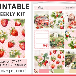Pegatinas del planificador de fresas, pegatinas del planificador imprimibles, pegatinas del planificador de verano, kit de pegatinas semanales, Erin Condren, archivos cortados, VS233