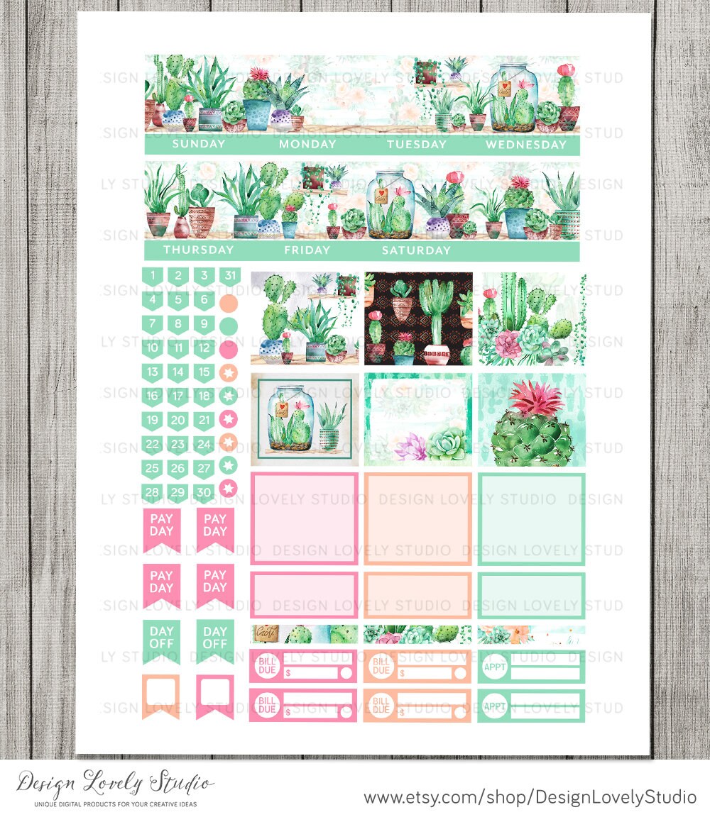 PRINTABLE CACTUS Monthly Planner Stickers, for Erin Condren Life ...