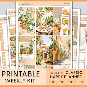 Pegatinas imprimibles del planificador de verano, naranja, vacaciones, cítricos, frutas, kit de pegatinas semanales imprimibles del planificador feliz, archivos cortados, HP255