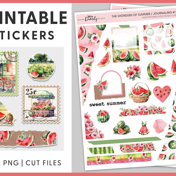 Watermelon Journaling Sticker Kit, Watermelon Planner Stickers, Printable Journaling Stickers, Bullet Journal Stickers, Cut Files, JS106