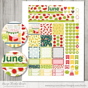 Happy Planner June Stickers, June Planner Kit, June Happy Planner, June ...
