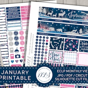 Printable January Planner Stickers, January Monthly Kit, EC January Planner Stickers, January Monthly View, New Year Planner, MV117