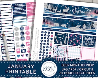 Printable January Planner Stickers, January Monthly Kit, EC January Planner Stickers, January Monthly View, January 2018 Stickers, MV117