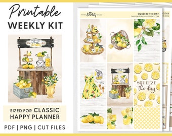 Pegatinas de Happy Planner, pegatinas de Lemon Planner, kit de pegatinas semanales, pegatinas de planificador imprimibles, pegatinas de limón, archivos cortados, HP209