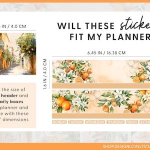 Puede incluir: Un gr&aacute;fico que muestra las dimensiones de las pegatinas de flores de azahar. Las pegatinas miden 1,6 pulgadas por 4 pulgadas y 6,45 pulgadas por 16,38 pulgadas. El texto "WILL THESE stickers FIT MY PLANNER?" est&aacute; en la parte superior del gr&aacute;fico. El texto "MONDAY, TUESDAY, WEDNESDAY, THURSDAY, FRIDAY, SATURDAY, SUNDAY" est&aacute; en la parte inferior del gr&aacute;fico.