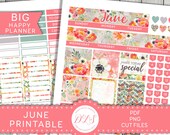 Printable JUNE Planner Stickers, Big Happy Planner Monthly Printable, Floral Monthly Kit, Spring Monthly Kit, Pink Planner Stickers, BM180