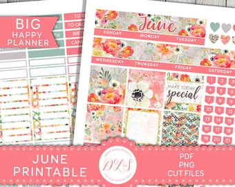 Printable JUNE Planner Stickers, Big Happy Planner Monthly Printable, Floral Monthly Kit, Spring Monthly Kit, Pink Planner Stickers, BM180