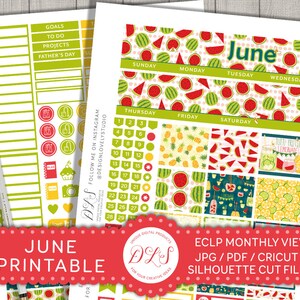 Summer Monthly Stickers Kit for Erin Condren Planner, June Monthly ...