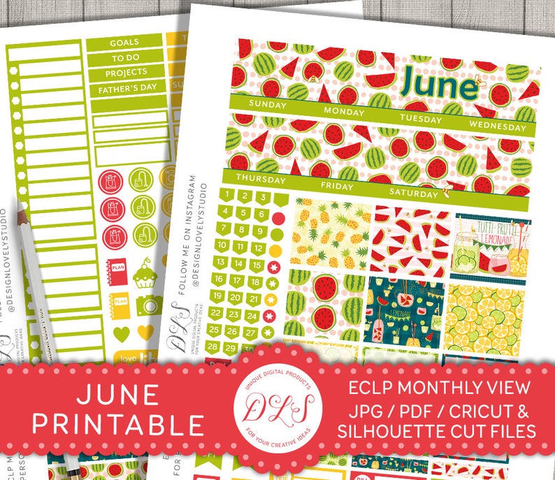 Summer Monthly Stickers Kit for Erin Condren Planner, June Monthly ...