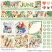 JUNE Monthly Stickers Kit, Big Happy Planner Printable Stickers, June ...