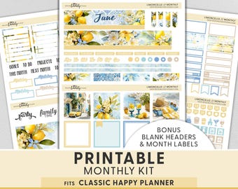 Adesivi stampabili con limoni per l'agenda, kit mensile di giugno per Happy Planner, opzione per qualsiasi mese, spiaggia, oceano, viaggio estivo in Italia, HPMV294