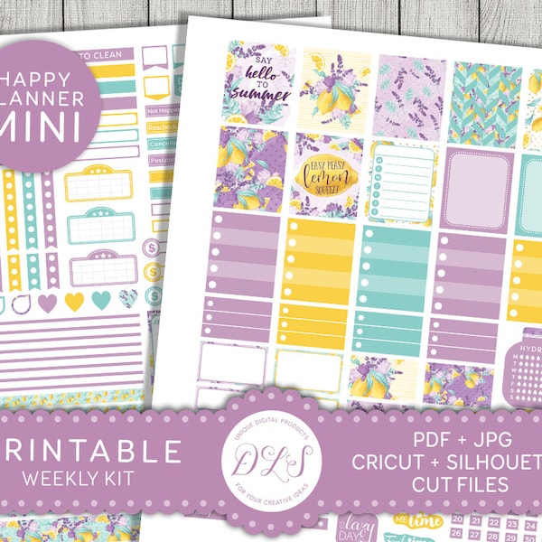 Summer Planner Stickers, Mini Happy Planner Kit, Weekly Planner Kit, Mini Happy Planner Stickers, Mini Happy Planner Printable, MW134