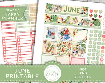 JUNE Planner Stickers, June Planner Printable, Happy Planner Printable Stickers, Monthly Planner Stickers, Beach Planner Stickers, HPMV186