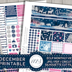 December maandelijkse Kit voor Erin Condren December maandelijkse Planner Stickers, Kerstmis Planner Kit, December afdrukbare, Glitter Stickers, MV113