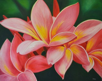 May include: Close-up of pink and yellow plumeria flowers with a dark green background. The flowers are in focus and the background is blurred.