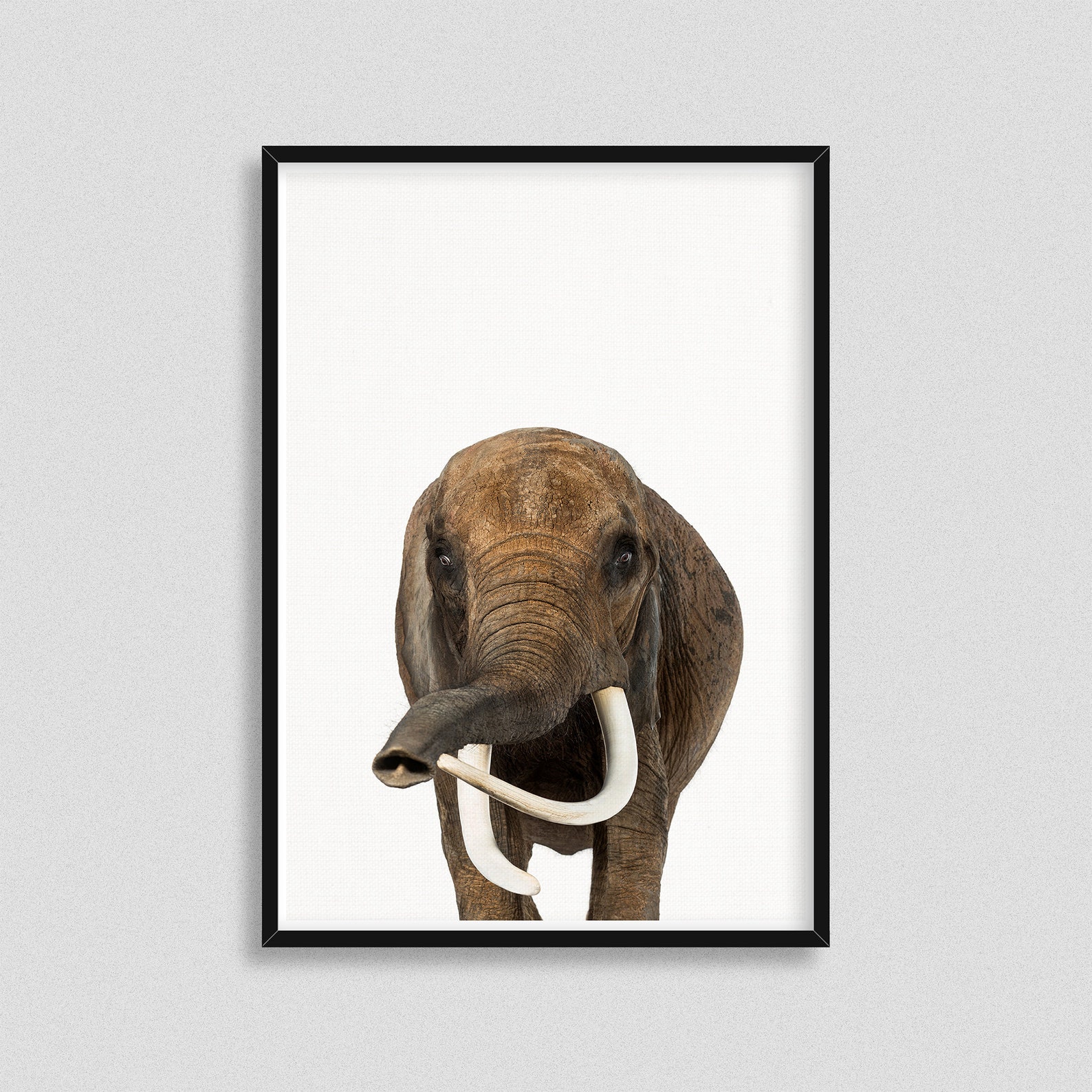 Large Elephant Print Elephant Wall Art Nursery Wall Art Etsy