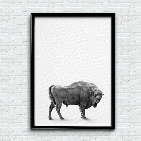 Buffalo Print, Bison Wall Art, Black and White Buffalo, Modern Minimal, Grey Decor, Animal