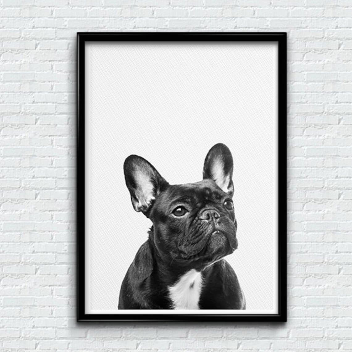French Bulldog Wall Art Print Printable Bulldog Dog Photo Etsy