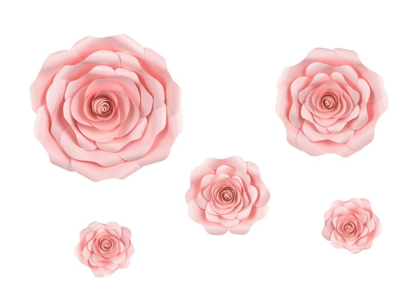 Les 5 Fleurs Géantes en Papier Rose Pour Décoration Murale