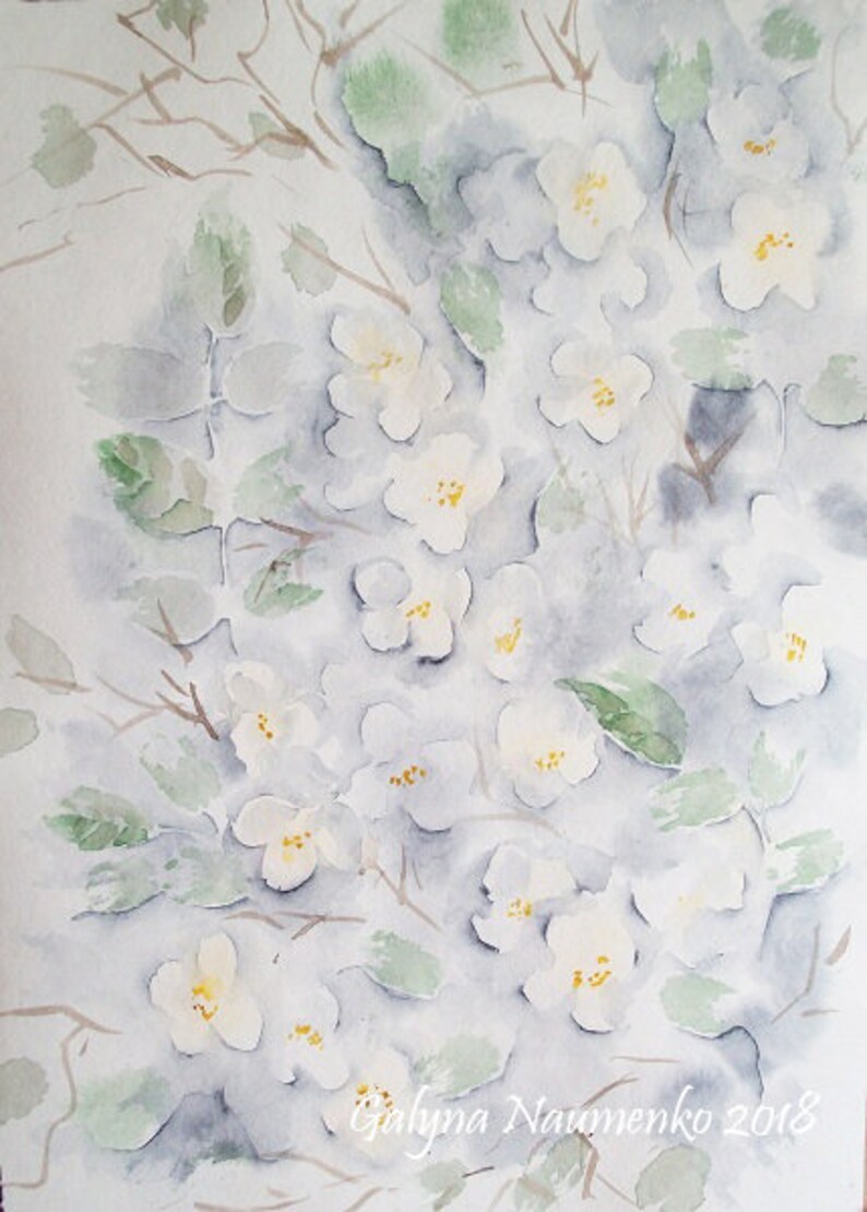 Jasmine Flower Jasmine Watercolor Jasmine Painting Flower Etsy