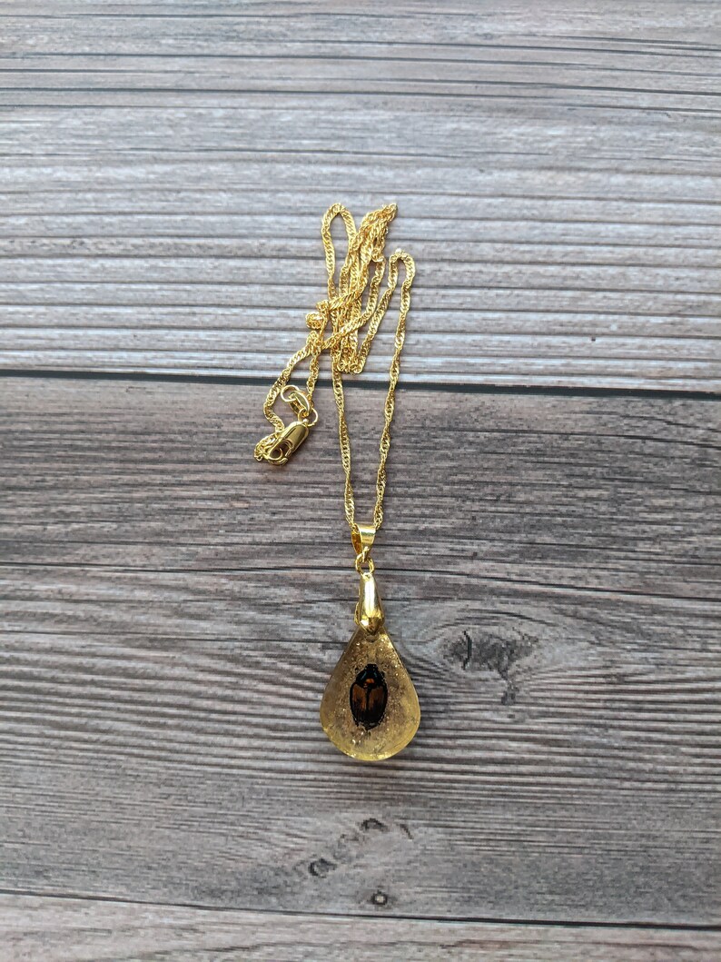Gold Scarab Beetle Necklace Beetle in Resin Resin Jewelry - Etsy