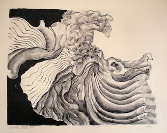 Pleated Shell