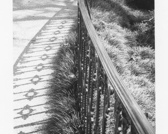 Iron Fence at Bellingrath Gardens