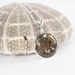 see more listings in the Sand Jewelry section