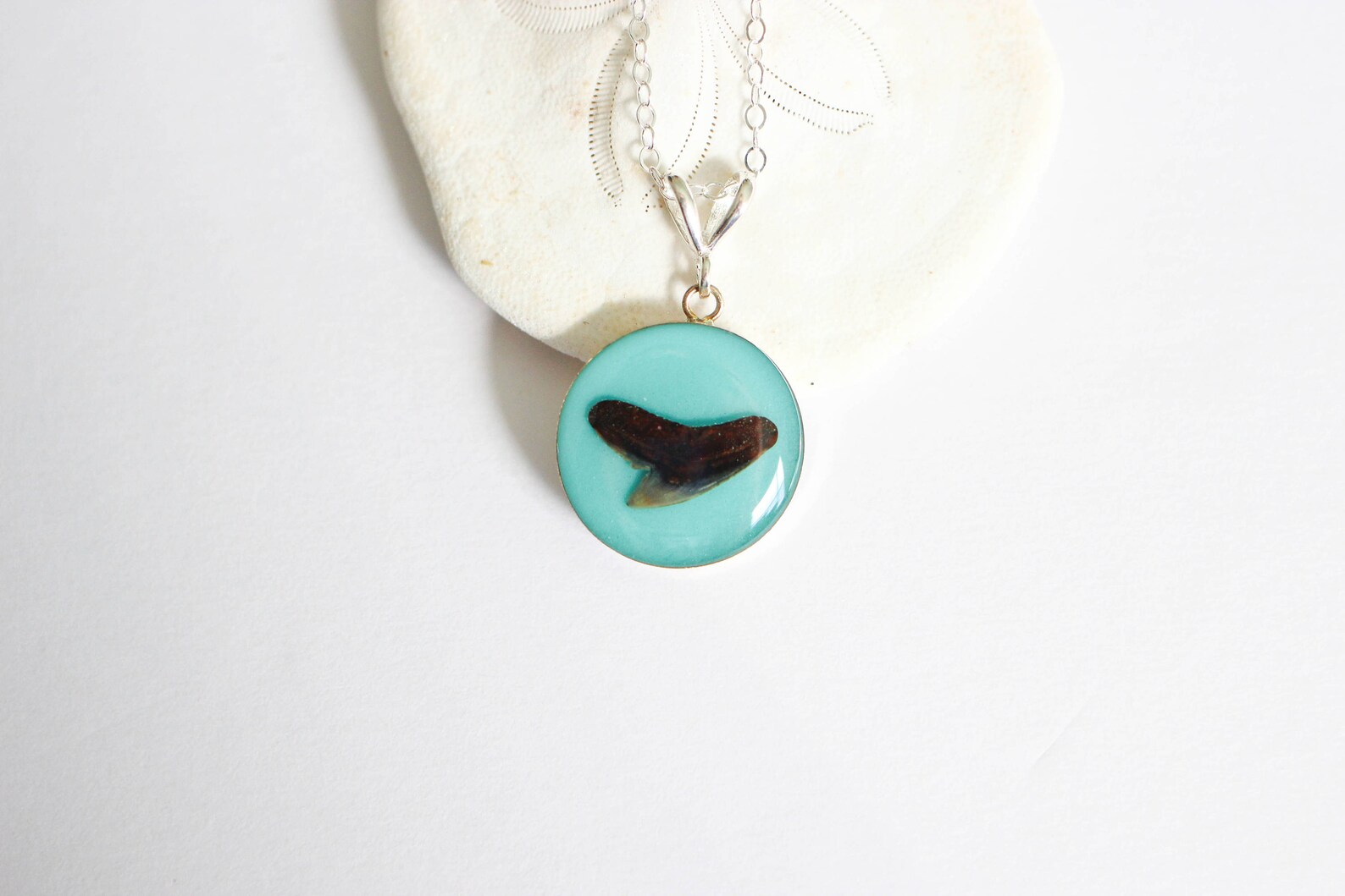 Shark Tooth Necklace Shark Tooth Jewelry Genuine Shark Tooth Caribbean