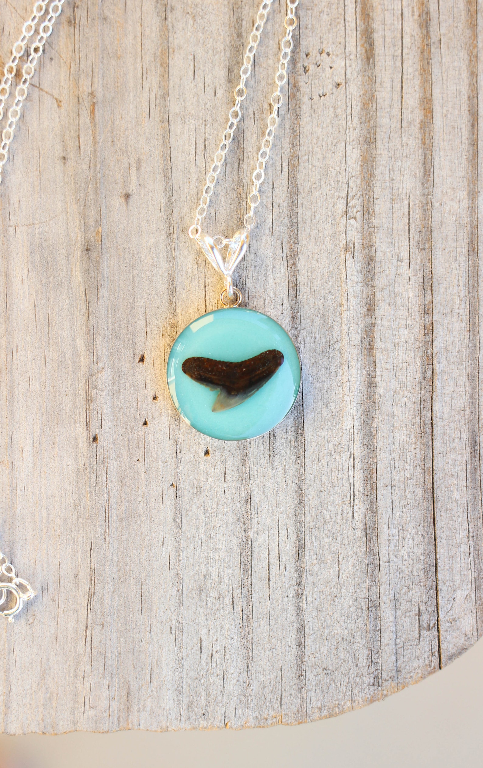 Shark Tooth Necklace Shark Tooth Jewelry Genuine Shark Tooth Caribbean