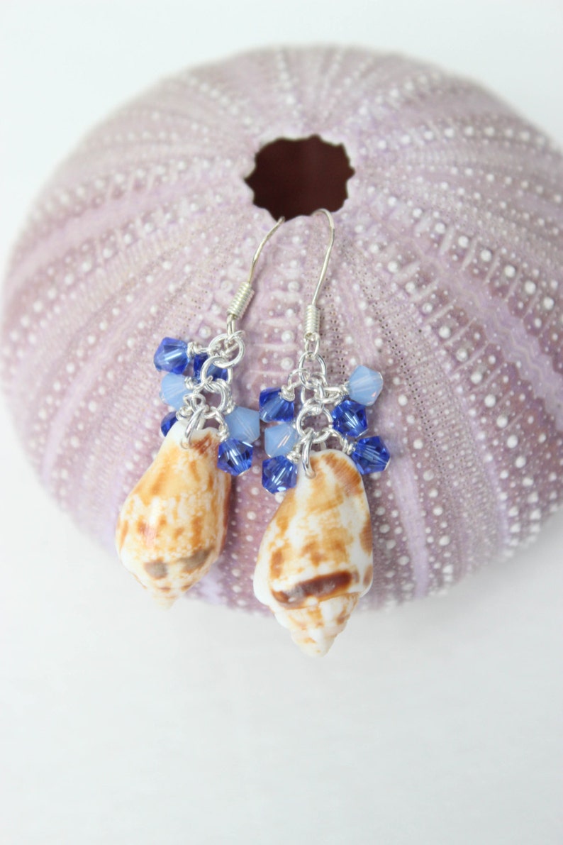 Seashell Earrings Triton Shell Earrings Crystal Cluster - Etsy