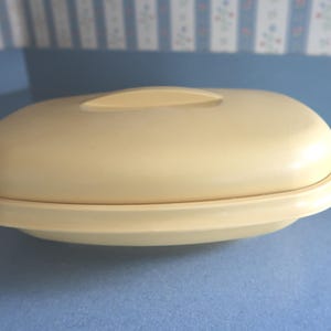 May include: A light yellow, oval-shaped food storage container with a matching lid. The lid has a small handle in the center. The container sits on a light blue surface.