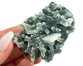 Apophyllite and Black Chalcedony Cluster Zeolite Mineral Specimen Display Crystal Apophyllite Cluster