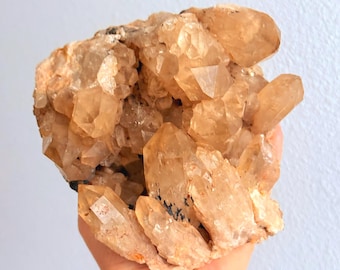 Kundalini Citrine Cluster, Congo Citrine, Smoky Quartz, All Natural Citrine, Crystal, Mineral, African Citrine