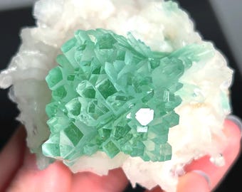 Rare Green Apophyllite Flower on Stilbite Matrix, Fluorapophyllite, Museum Grade, Collectors Specimen, Crystals, Minerals, Gemstones, India