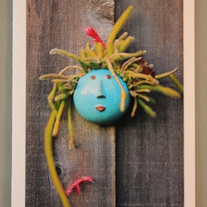 Photo carte de voeux avec l'image du visage mignon des Cactus en fleurs