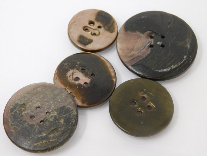 five mother-of-pearl buttons art nouveau