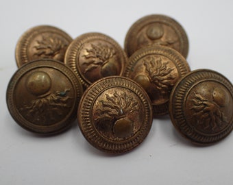 sept  boutons militaire d'infanterie